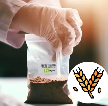 Próbka gleby w woreczku strunowym z logo BeAgro, trzymana przez osobę w rękawiczkach laboratoryjnych, gotowa do analizy.