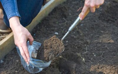 Jak pobierać próbki gleby do badań? Praktyczny przewodnik