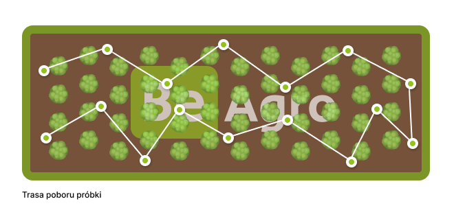 Sposób pobrania próbek w układzie siatkowym