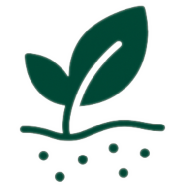 Próchnica (C org, substancja organiczna)