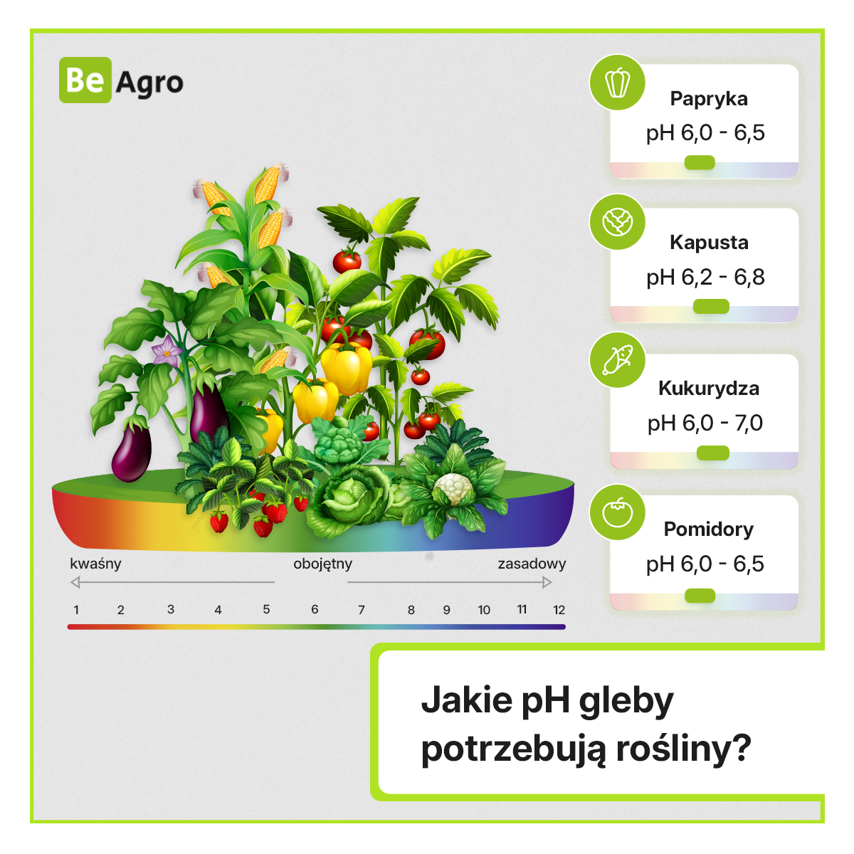 Infografika przedstawiająca zalecane wartości pH gleby dla papryki, kapusty, marchwi i pomidorów.