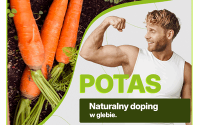 Potas w glebie – jak niedobór wpływa na smak i jakość plonów