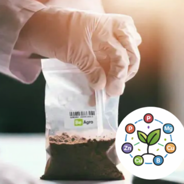 Próbka gleby z logo BeAgro, gotowa do analizy metodą Mehlich 3 z oznaczeniem makro- i mikroelementów.